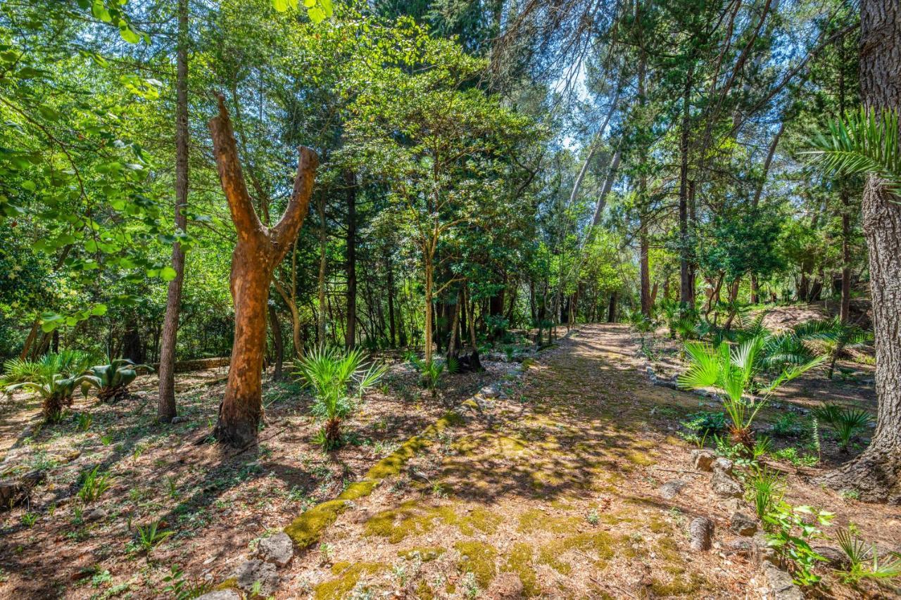 Son Grua Agroturismo - Adults Only 포엔샤 외부 사진